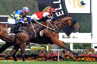 The Justice League (NZ) resumes form to win the Group 2 Wellington Guineas. Photo Credit: Racing Images.